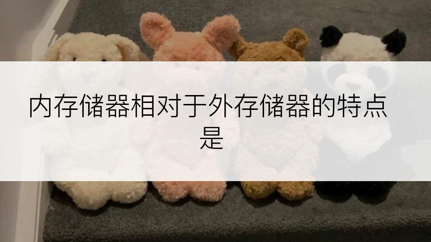 内存储器相对于外存储器的特点是