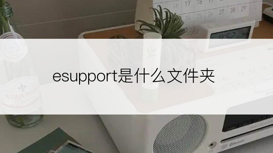 esupport是什么文件夹