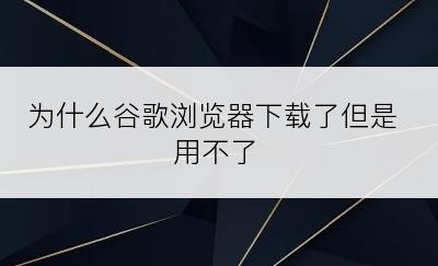 为什么谷歌浏览器下载了但是用不了