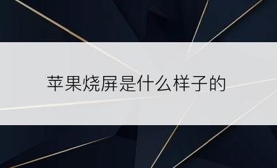 苹果烧屏是什么样子的