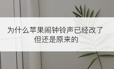 为什么苹果闹钟铃声已经改了但还是原来的