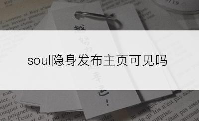 soul隐身发布主页可见吗