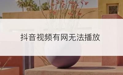 抖音视频有网无法播放