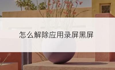 怎么解除应用录屏黑屏