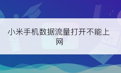 小米手机数据流量打开不能上网