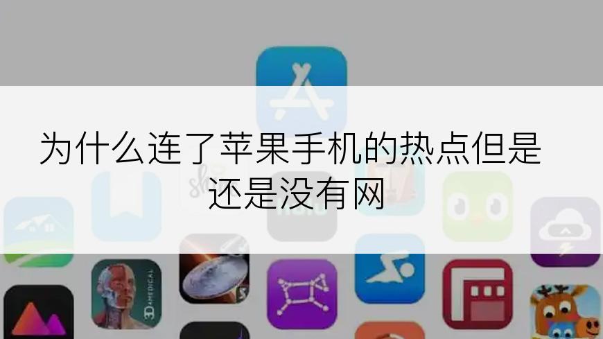 为什么连了苹果手机的热点但是还是没有网