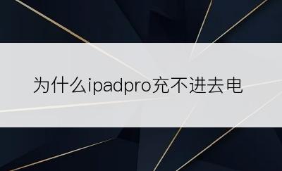 为什么ipadpro充不进去电