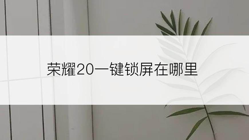 荣耀20一键锁屏在哪里