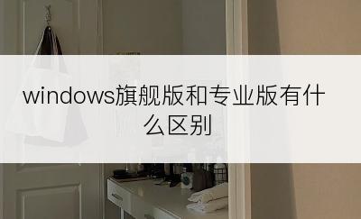 windows旗舰版和专业版有什么区别