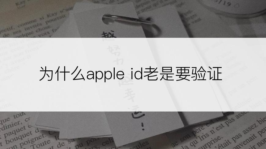 为什么apple id老是要验证