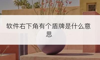 软件右下角有个盾牌是什么意思