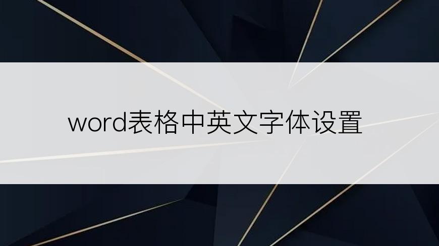 word表格中英文字体设置