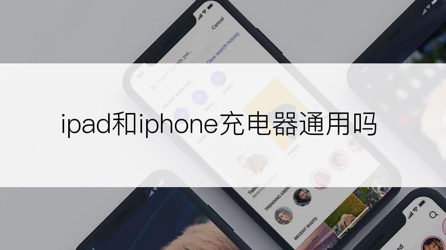 ipad和iphone充电器通用吗