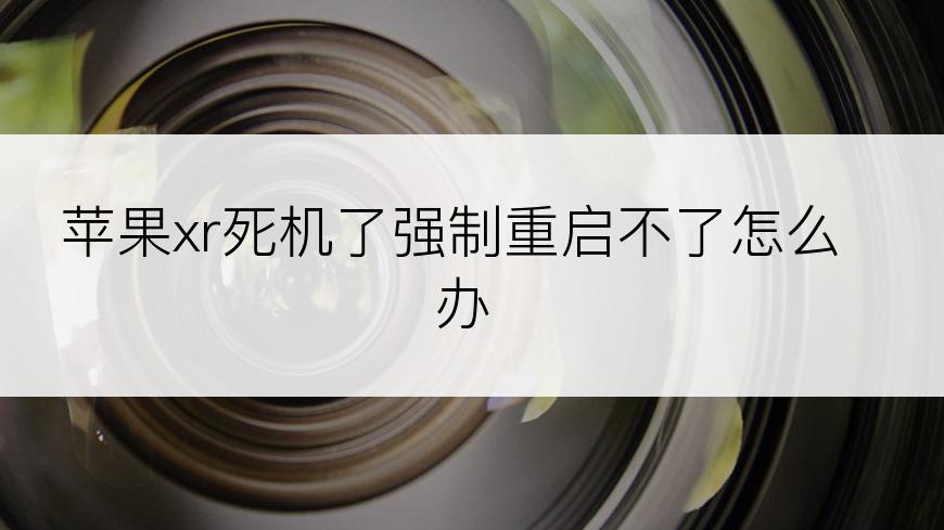 苹果xr死机了强制重启不了怎么办