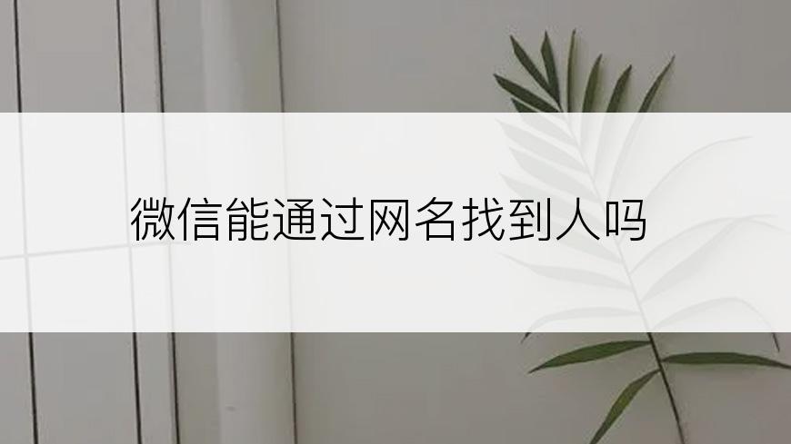 微信能通过网名找到人吗