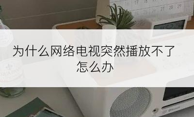 为什么网络电视突然播放不了怎么办