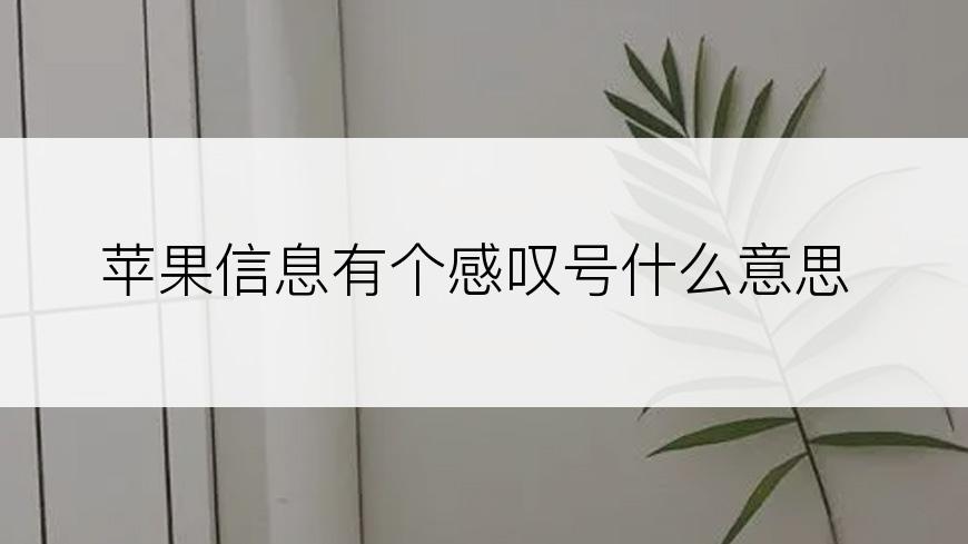 苹果信息有个感叹号什么意思