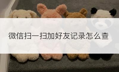 微信扫一扫加好友记录怎么查