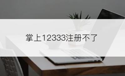 掌上12333注册不了