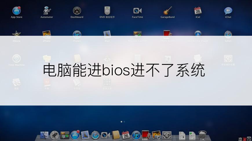 电脑能进bios进不了系统
