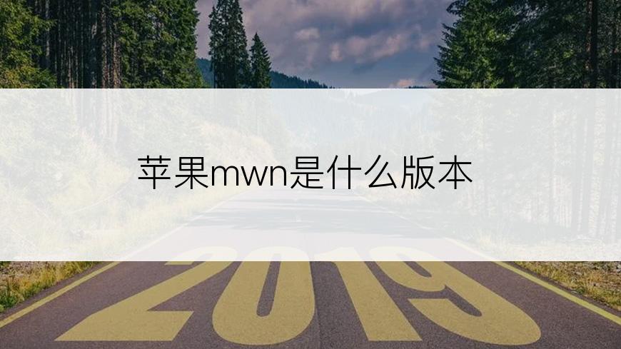 苹果mwn是什么版本