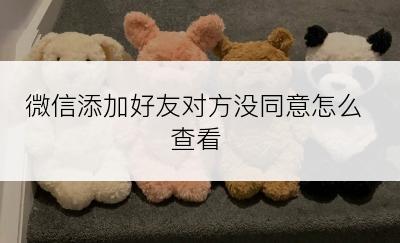 微信添加好友对方没同意怎么查看