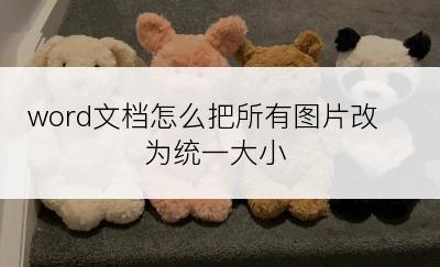 word文档怎么把所有图片改为统一大小