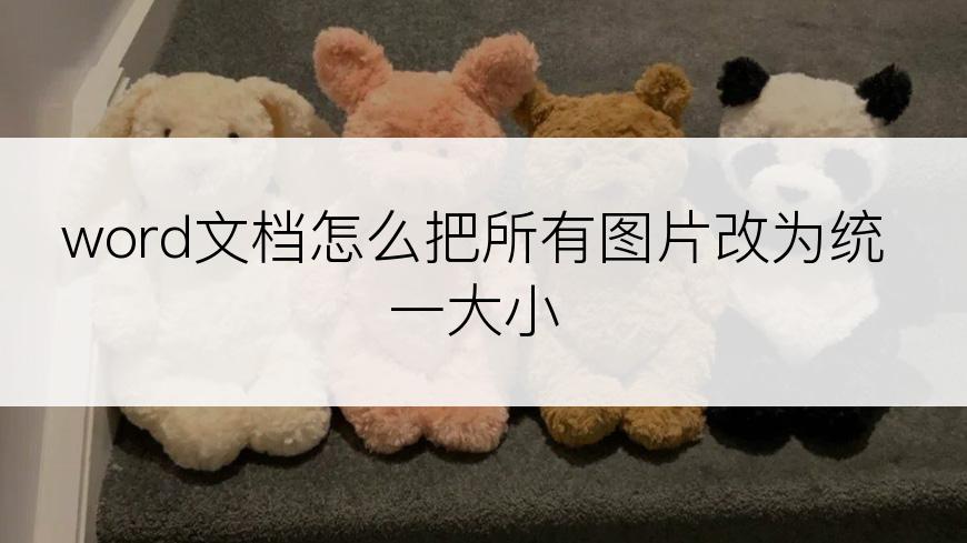 word文档怎么把所有图片改为统一大小