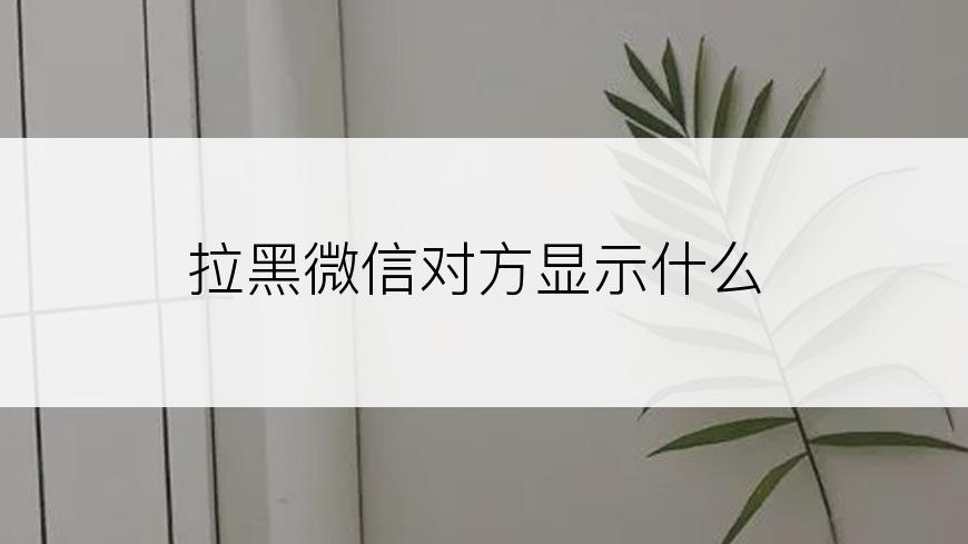 拉黑微信对方显示什么