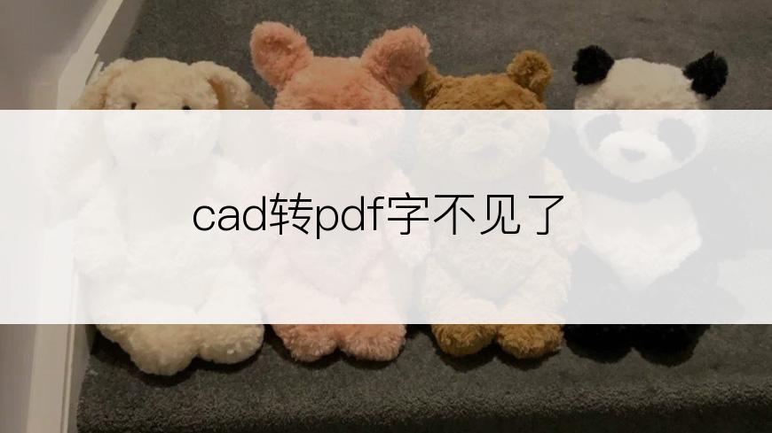 cad转pdf字不见了