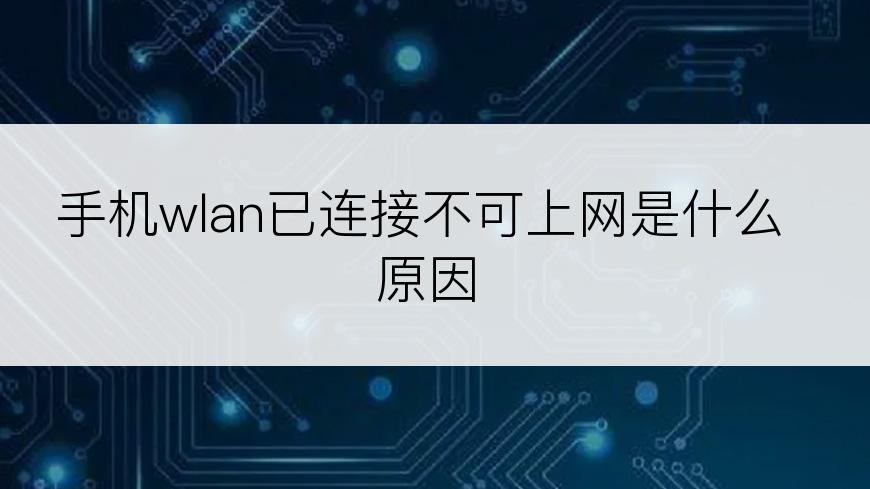 手机wlan已连接不可上网是什么原因