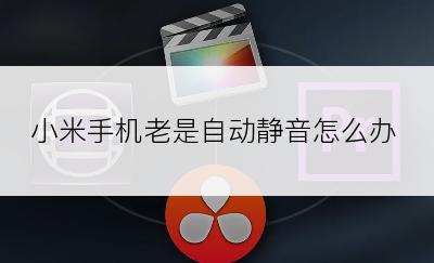 小米手机老是自动静音怎么办