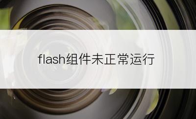 flash组件未正常运行