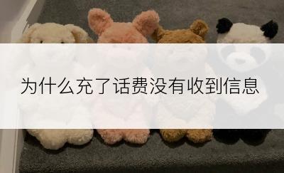 为什么充了话费没有收到信息