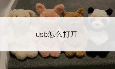 usb怎么打开