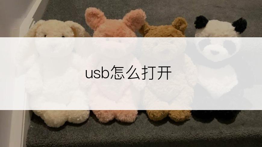 usb怎么打开