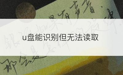 u盘能识别但无法读取