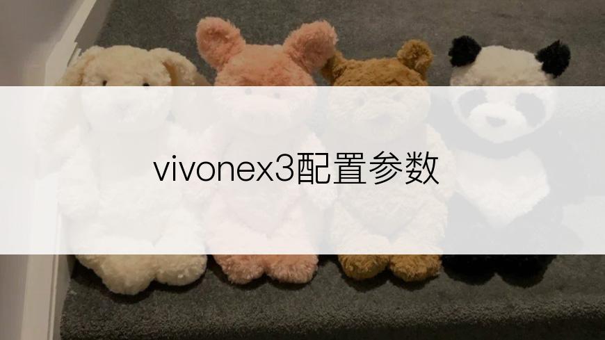 vivonex3配置参数