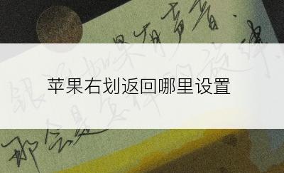 苹果右划返回哪里设置