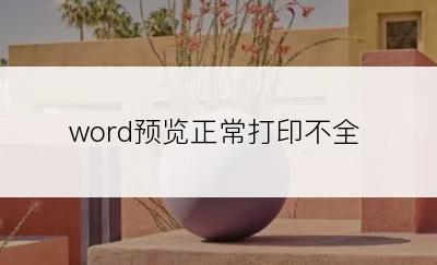 word预览正常打印不全