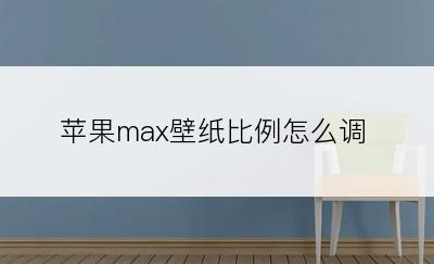 苹果max壁纸比例怎么调