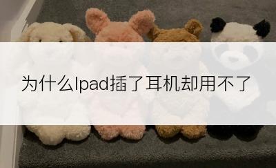 为什么Ipad插了耳机却用不了