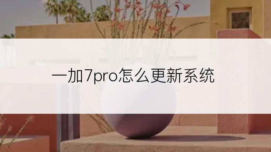 一加7pro怎么更新系统