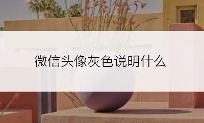 微信头像灰色说明什么