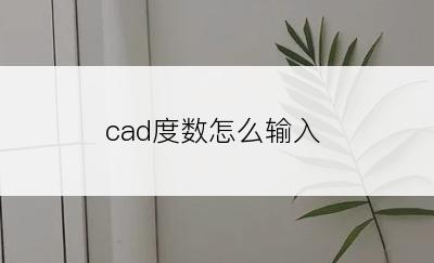 cad度数怎么输入