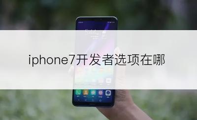 iphone7开发者选项在哪