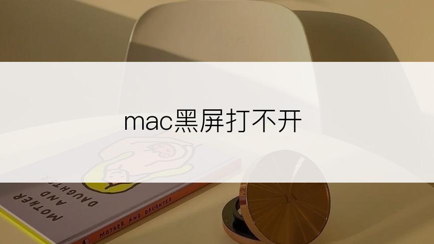 mac黑屏打不开