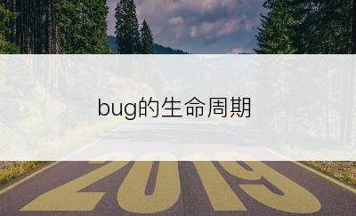 bug的生命周期