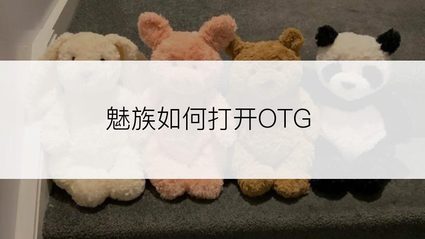 魅族如何打开OTG