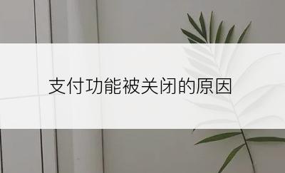 支付功能被关闭的原因